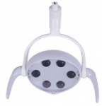 6 LED oral light lamp with removable handle